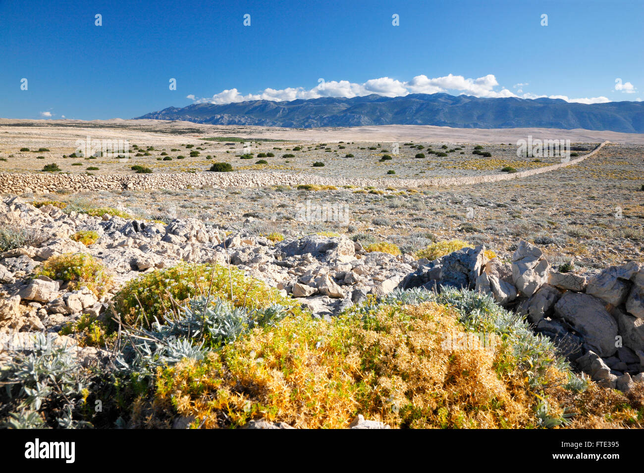 Landscape of island Pag in Croatia Stock Photo