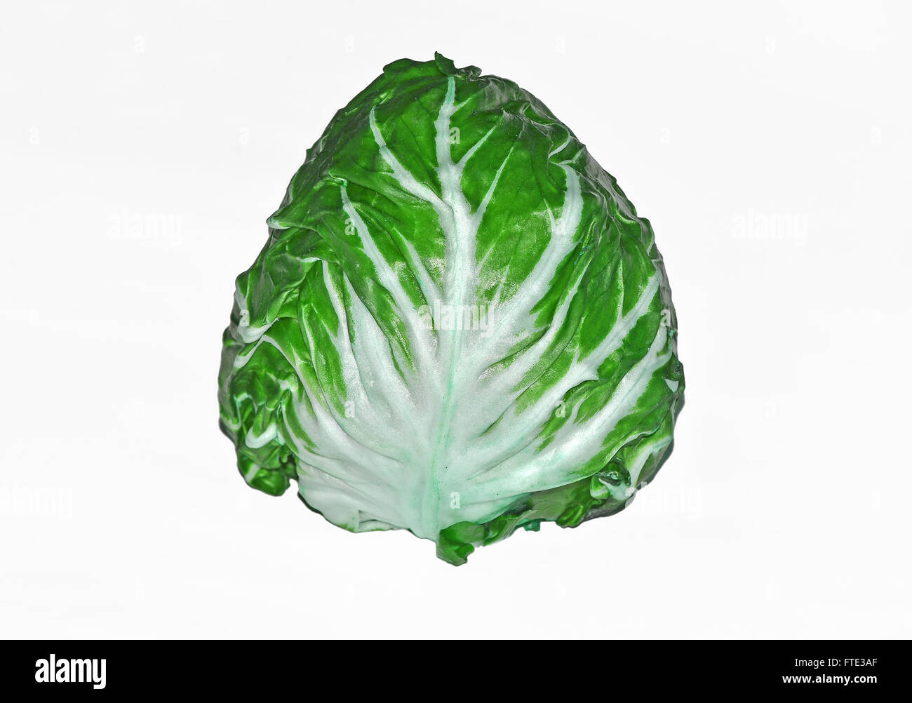 closeup of lettuce on white Stock Photo
