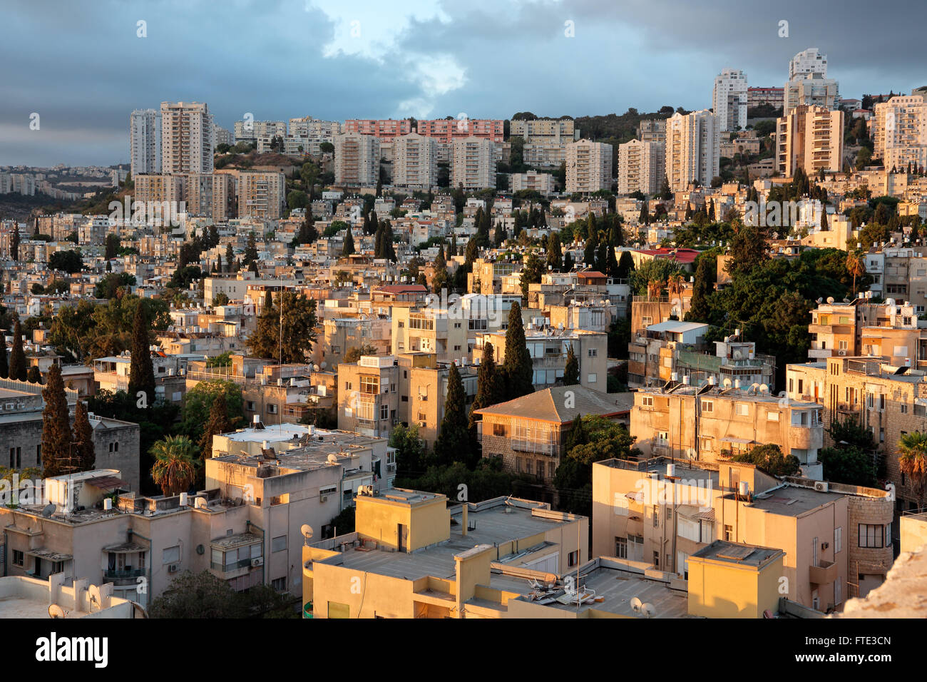 Joppa In The Bible Selection Online www.congressintercultural.eu