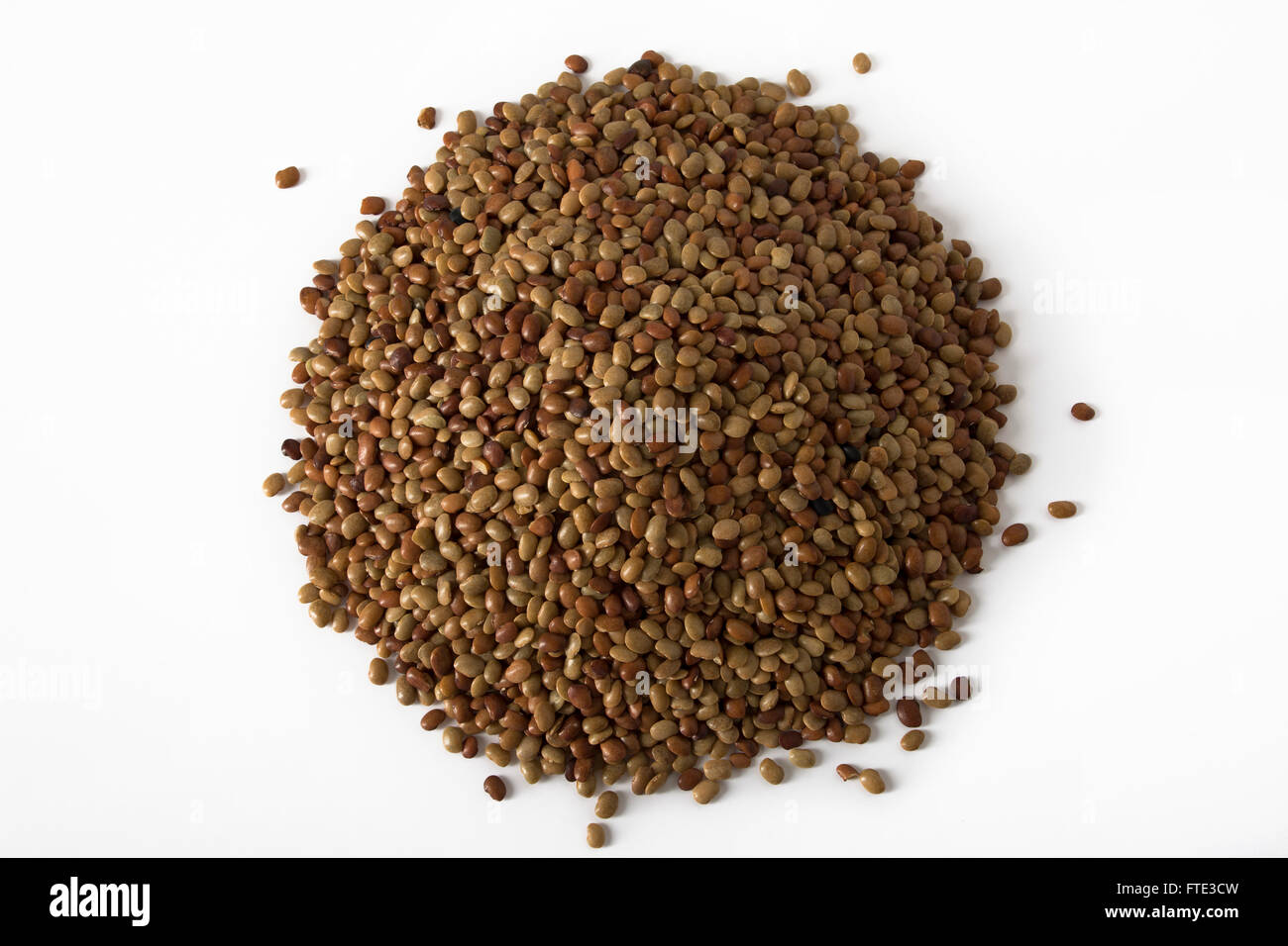 Pile of Horse Gram Lentils on white Stock Photo Alamy