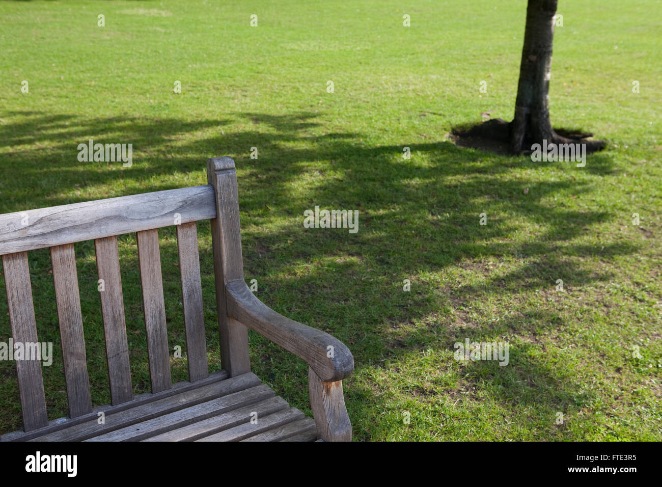 The shadow of a tree is cast over a grassy area in a park or field creating a shaded area to hide from the summer sun. Stock Photo