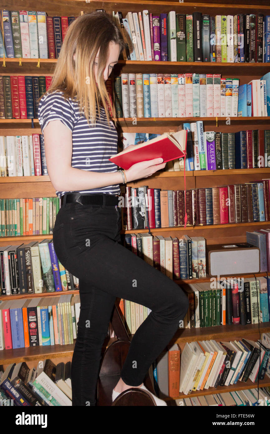 Young girl choosing books from home library shelves. Stock Photo