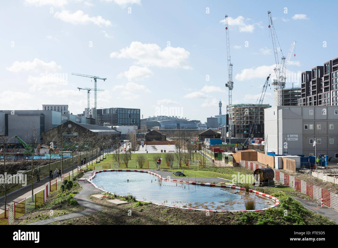 King's Cross Pond Club is the UK's first ever man-made freshwater public bathing pond. Stock Photo