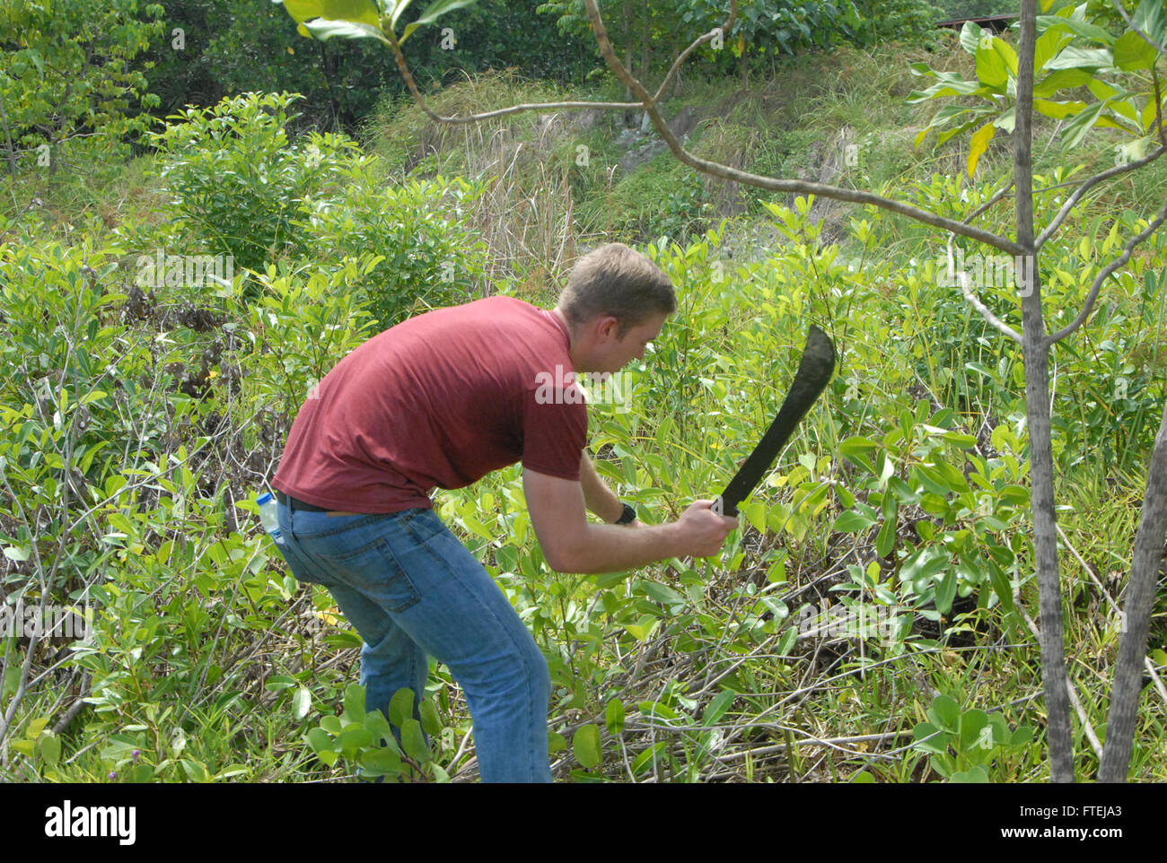 PORT VICTORIA, Seychelles (Nov. 14, 2014) – Fire Controlman 3rd Class Matthew Elliot, assigned to USS James E. Williams (DDG 95), cuts down invasive plants during a community relations event here, Nov. 14, 2014. James E. Williams, an Arleigh Burke-class guided-missile destroyer homeported in Norfolk, is conducting naval operations in the U.S. 6th Fleet area of operations in support of U.S. national security interests in Europe Stock Photo