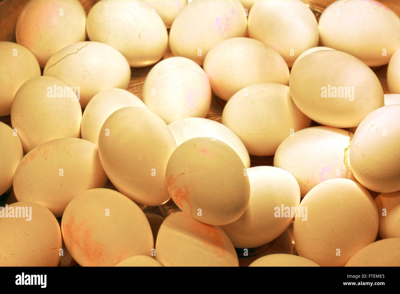Hard boiled eggs Stock Photo