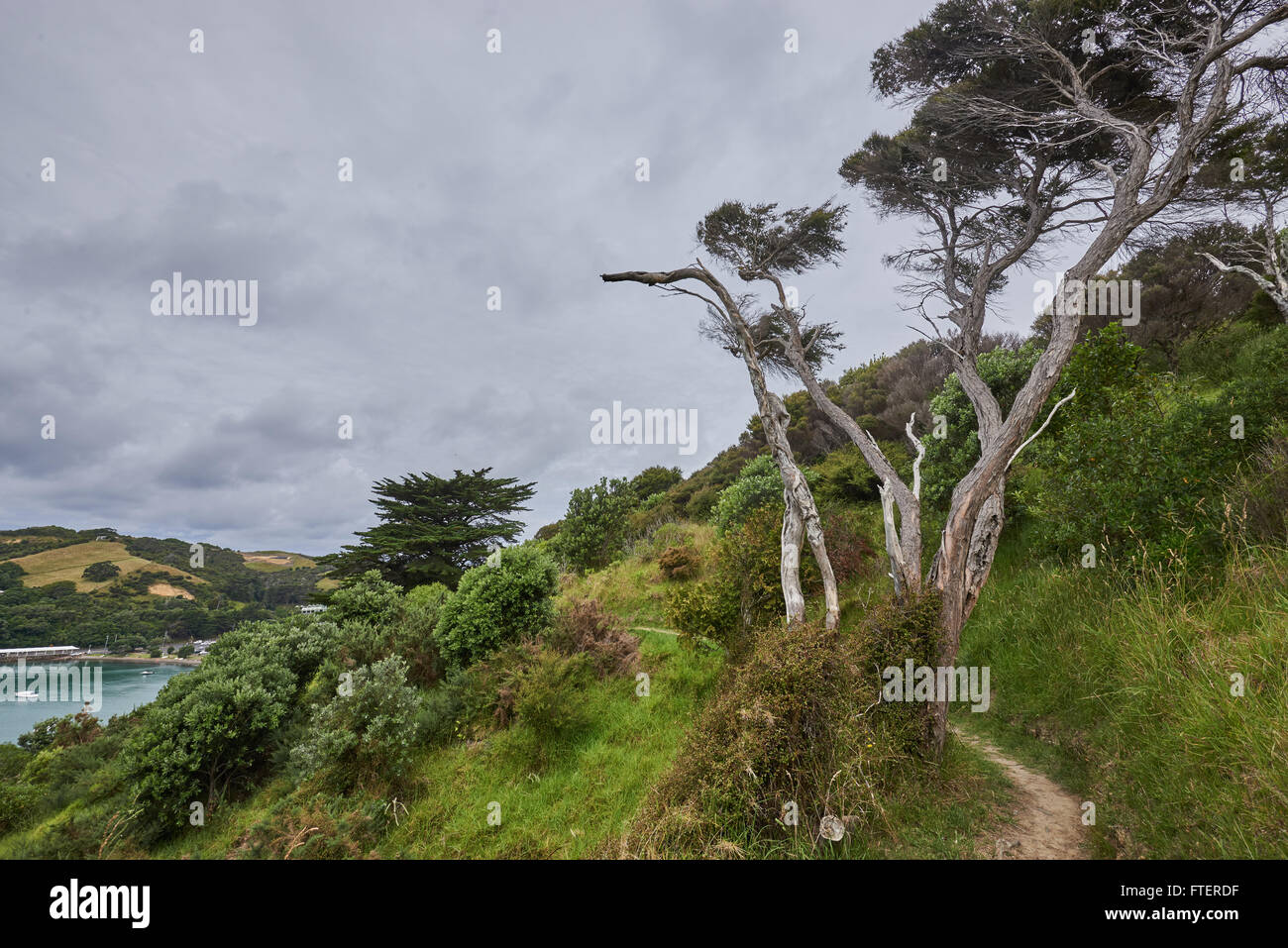 Scenery and landscapes across land and water in Waiheke Island New Zealand Stock Photo