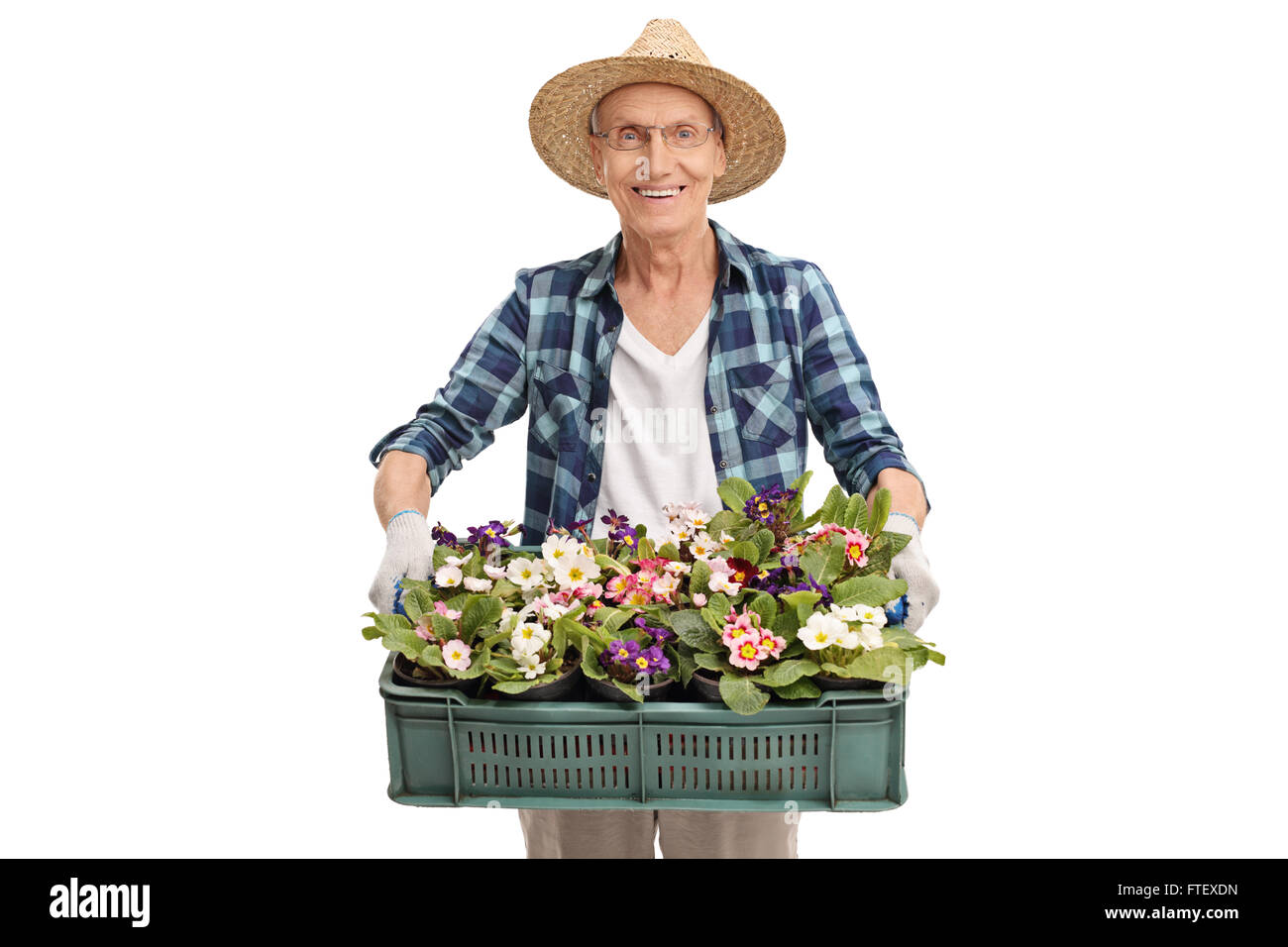 Senior gardener holding a plastic crate full of flowerpots and flowers isolated on white background Stock Photo