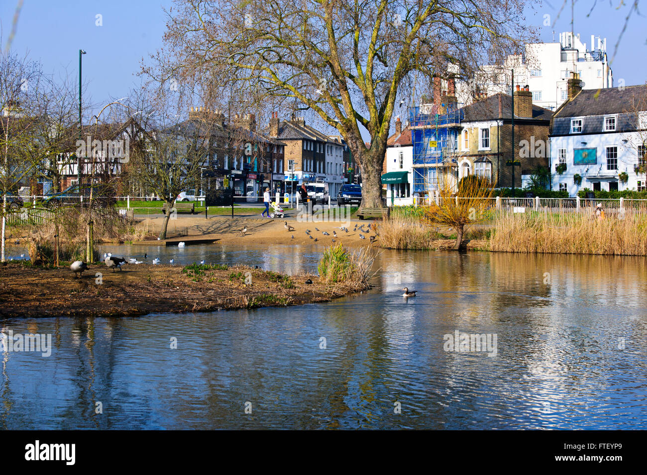 Barnes Agents,Barnes Stock Photo