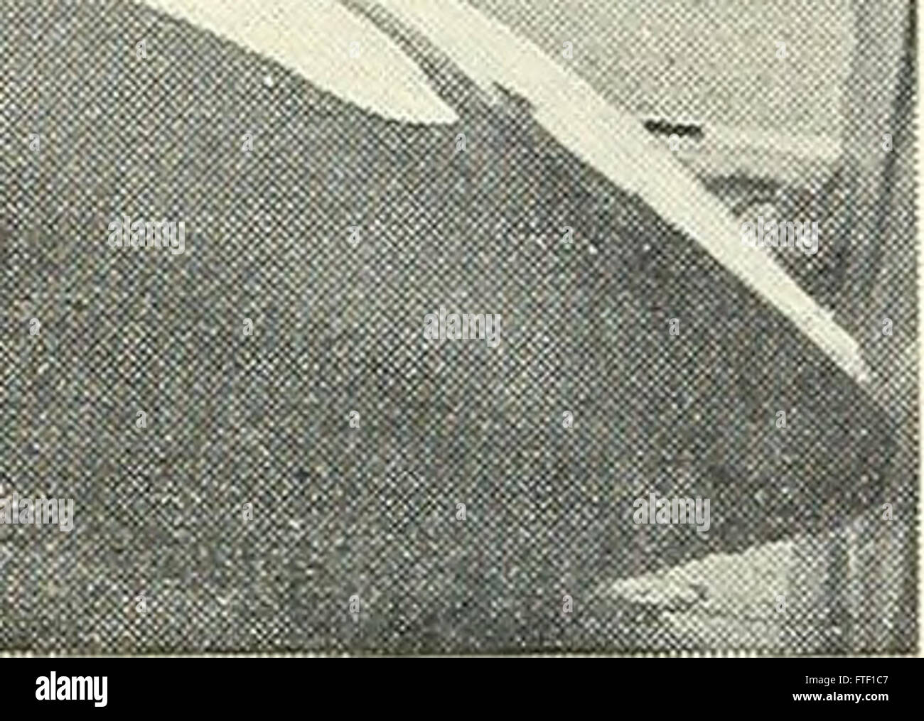 Bulletin of the Southern California Academy of Sciences (19021971