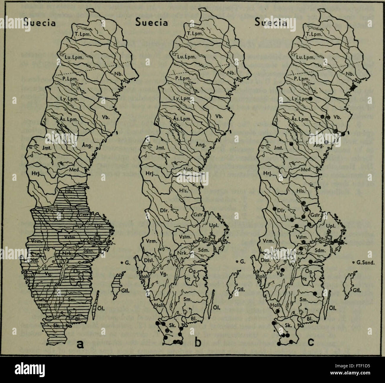 Bulletin of zoological nomenclature (1960 1961 Stock Photo Alamy