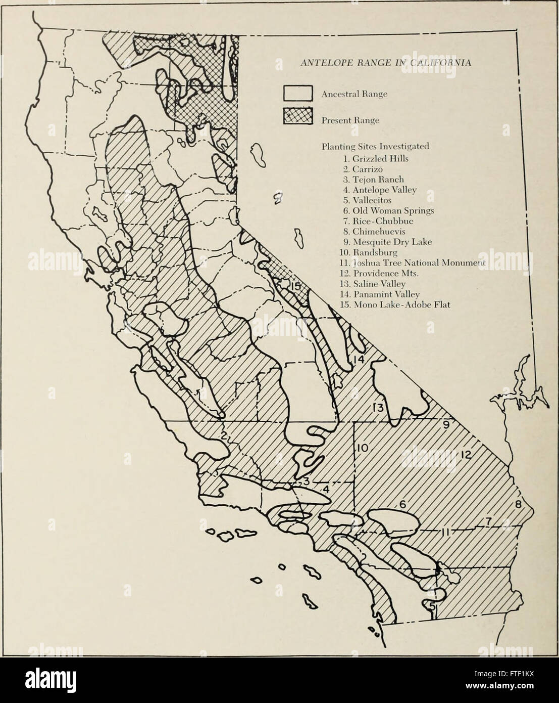 A 1963 work exploring the plant species of California’s range ...