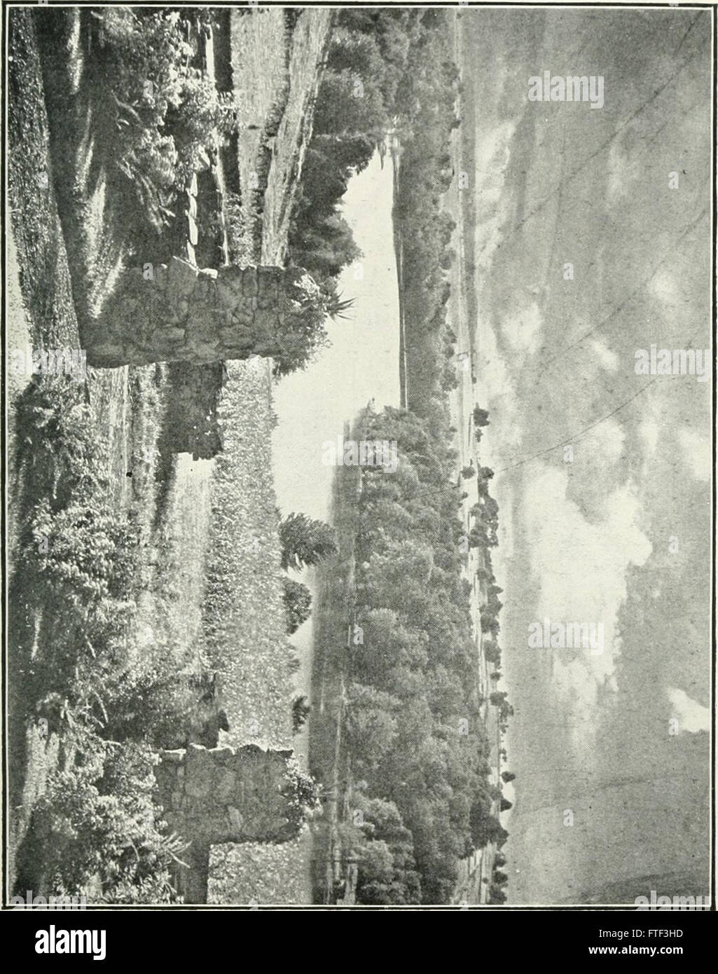 This Comprehensive Photography Guide From 1909 Offers Practical Lessons