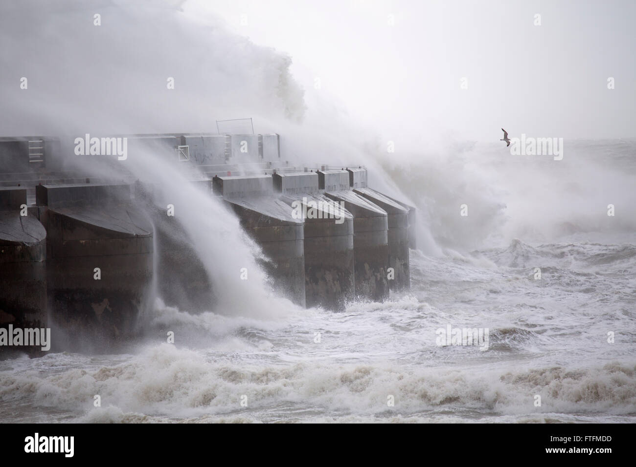 stormy Stock Photo