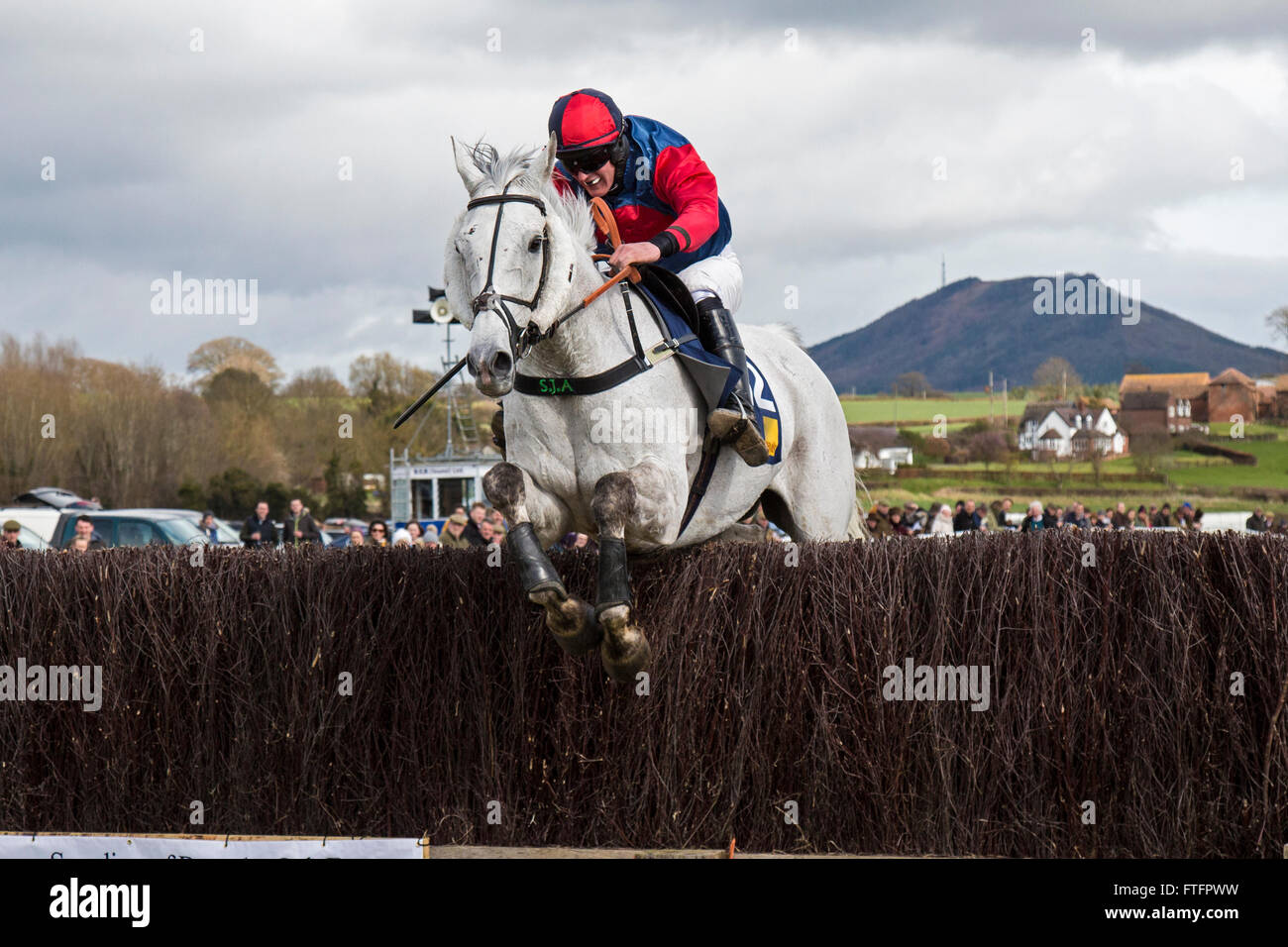 Eyton-on-Severn in Shropshire, UK. 28th March, 2016. 'Our Mick' running ...