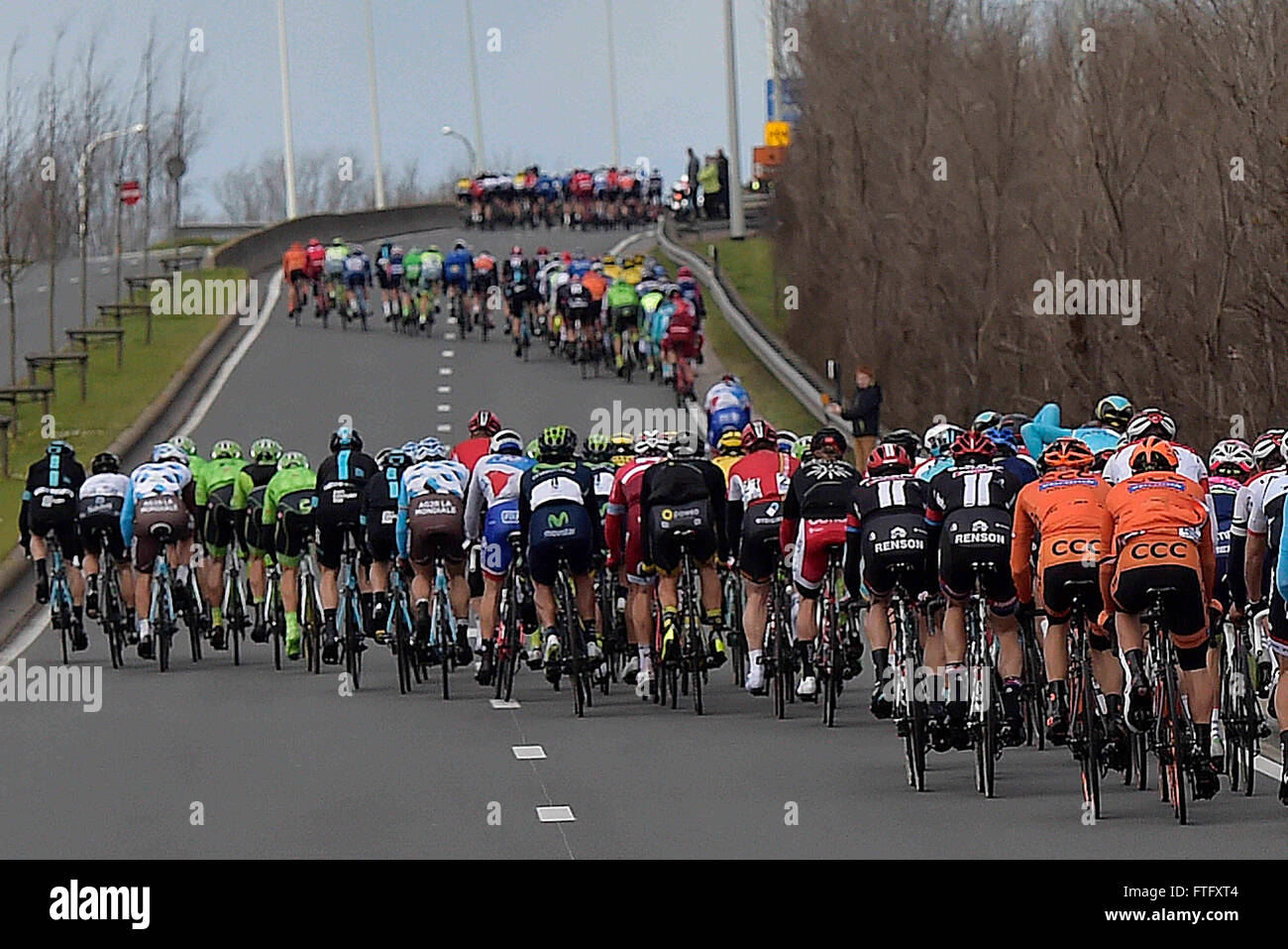 Deinze, Belgium. 27th Mar, 2016. the peloton is divided in echelons during the Flanders Classics UCI World Tour 78nd Gent-Wevelgem cycling race with start in Deinze and finish in Wevelgem © Action Plus Sports/Alamy Live News Stock Photo