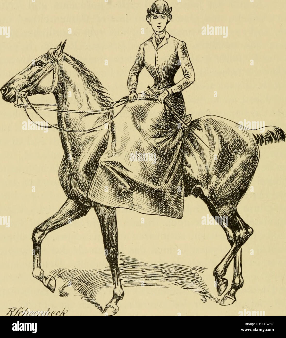This 1904 work showcases 50 illustrations of women riders, depicting ...