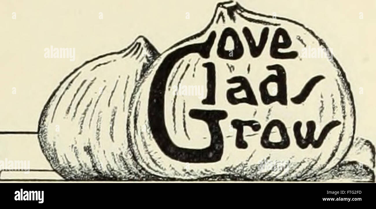 A *Descriptive List* (1933) provides a catalog of items, objects, or