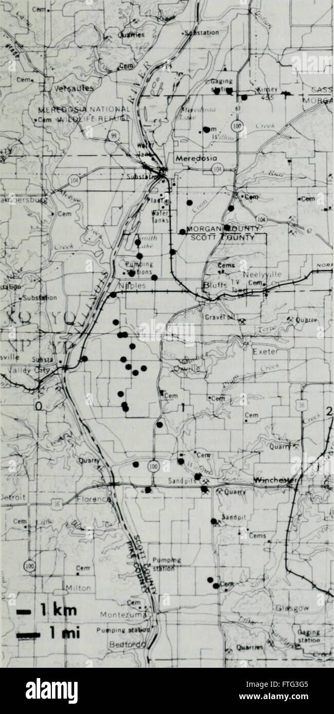 Distribution, habitat, and calling season of the Illinois chorus frog (Pseudacris streckeri illinoensis) along the lower Illinois River (1988) Stock Photo