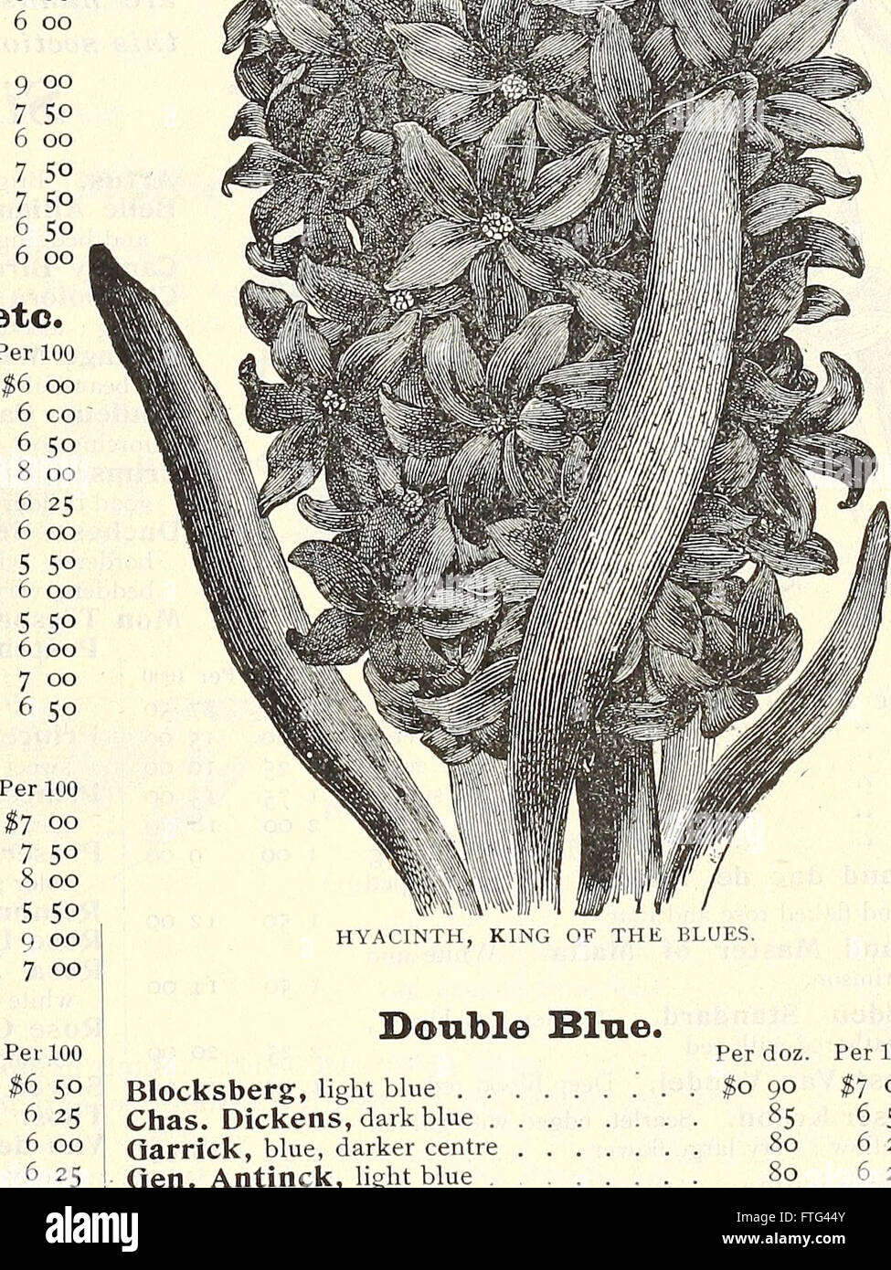 Dreer's wholesale price list - bulbs plants flower seeds, vegetable seeds, grass seeds, fertilizers, insecticides, tools, etc (1903) Stock Photo
