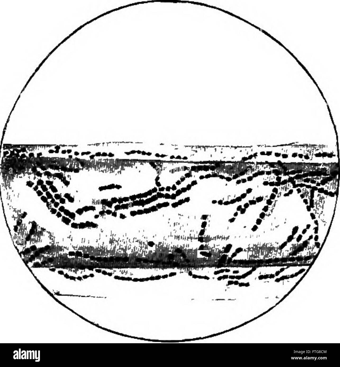 Handbook of bacteriological diagnosis for practitioners, including