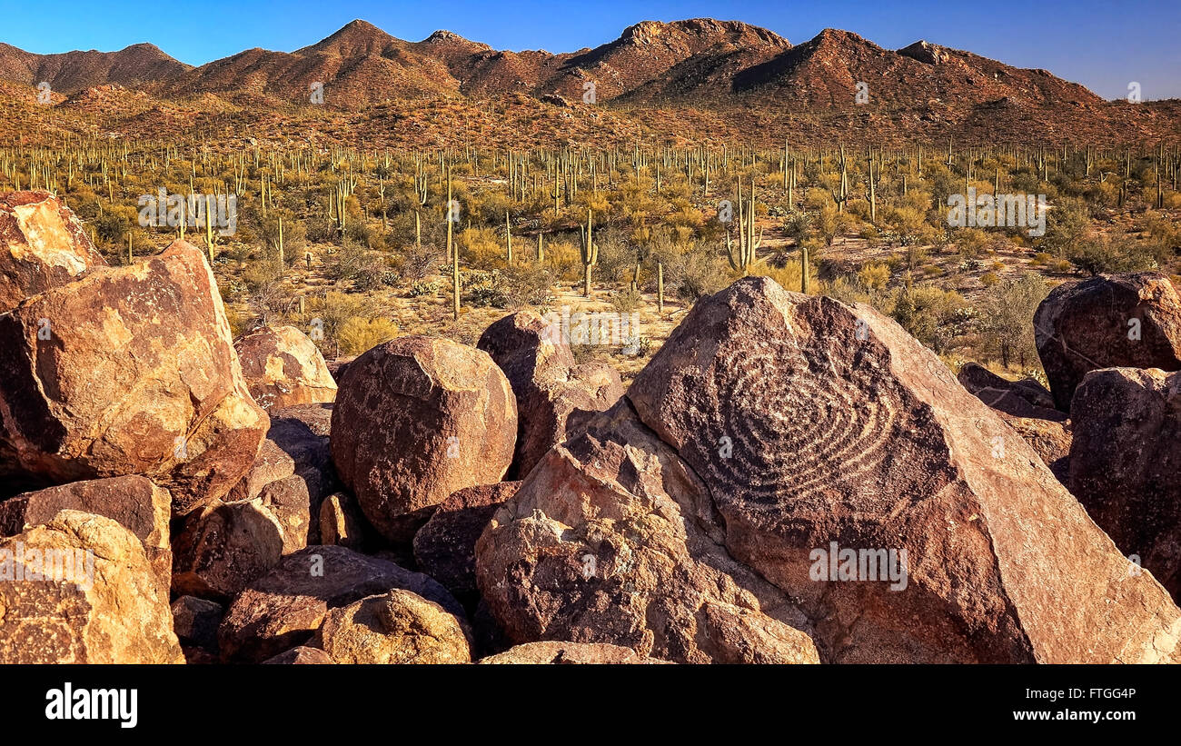 Hohokam petroglyphs are etched into rocks on the top of Signal Hill in Saguaro National Park Stock Photo