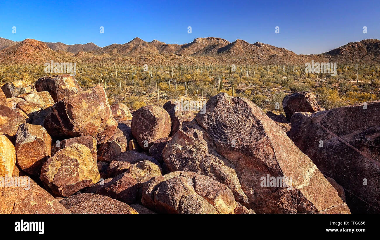 Hohokam petroglyphs on rocks on the top of Signal Hill in Saguaro National Park Stock Photo