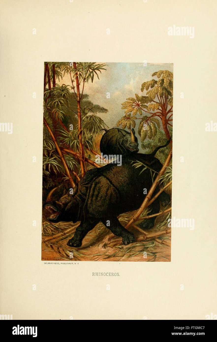 Our living world (Full Page Illustration Stock Photo Alamy