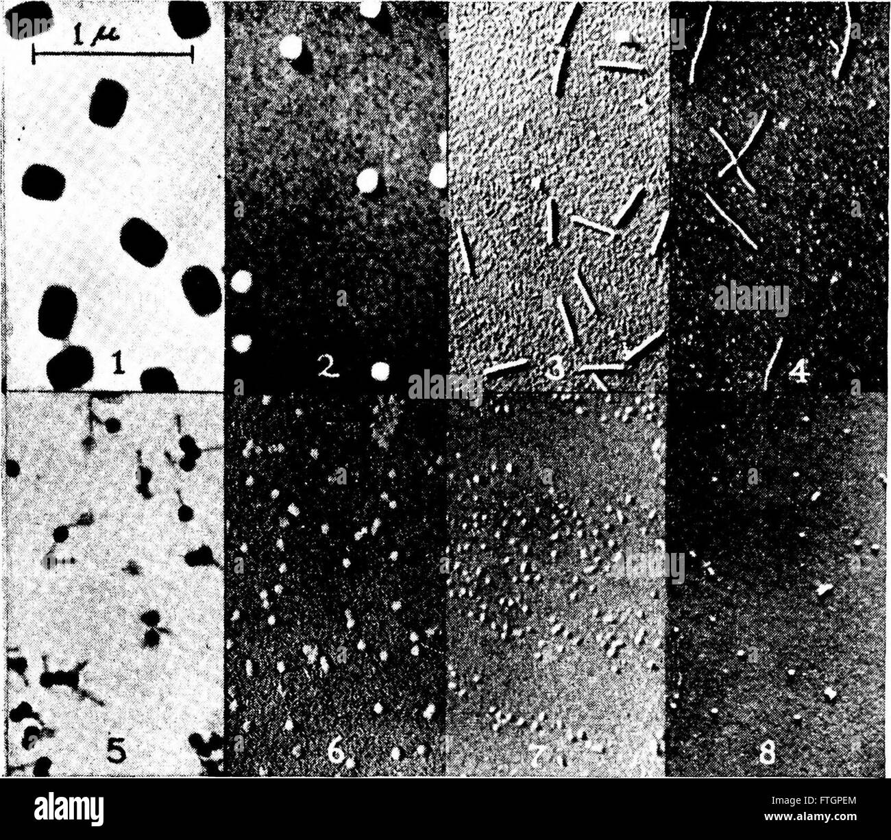 Biology cover page Black and White Stock Photos & Images - Alamy