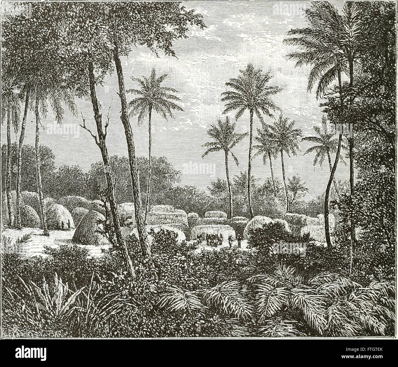 Distinct History A universal history detailing the origin, early development, and ethnic ...