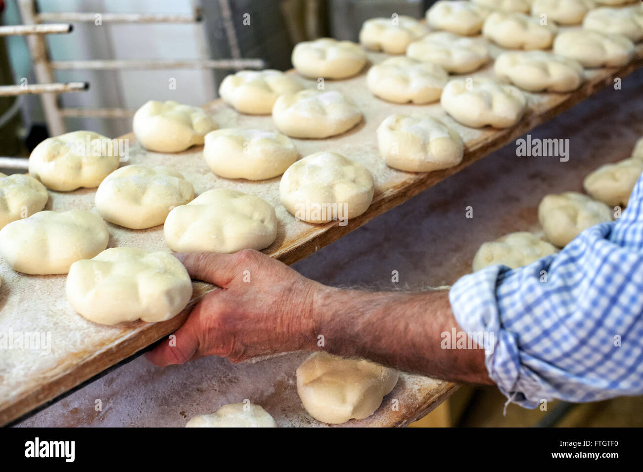 Baker placing a long tray with mounds of uncooked bread dough on a rack ready for baking in the oven, close up of his hand Stock Photo