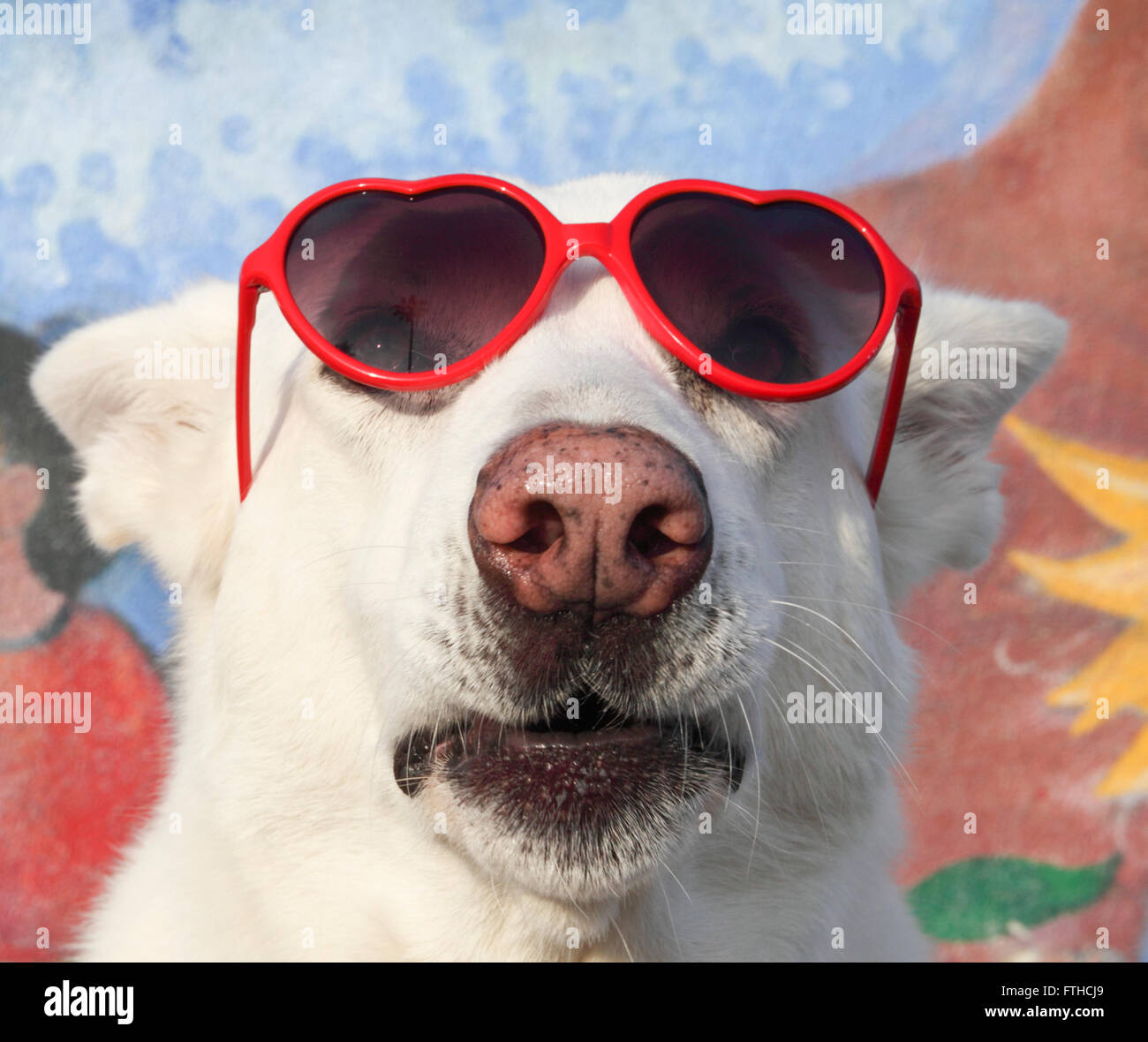 Dog wearing heart-shaped sunglasses on the Venice boardwalk Stock Photo