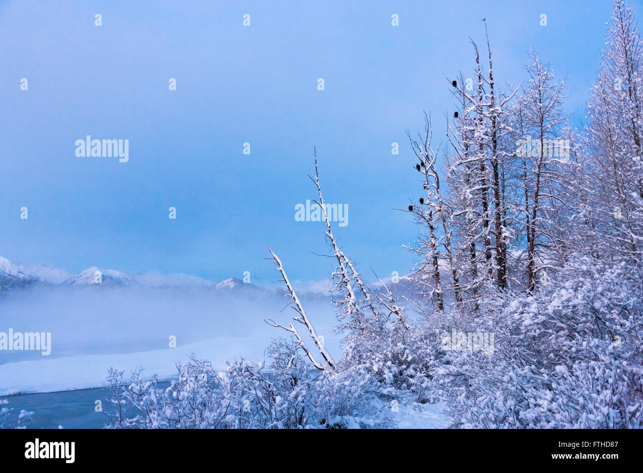 Landscape of river, forest and mountain covered with snow, Haines, Alaska, USA Stock Photo