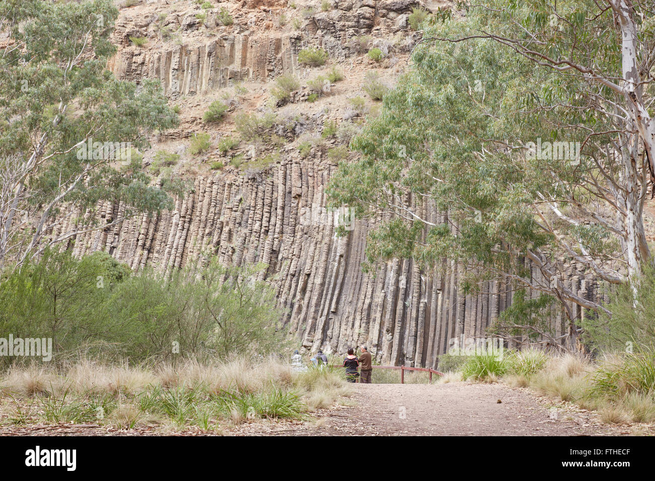 Organ Pipes National Park Stock Photos Organ Pipes National Park