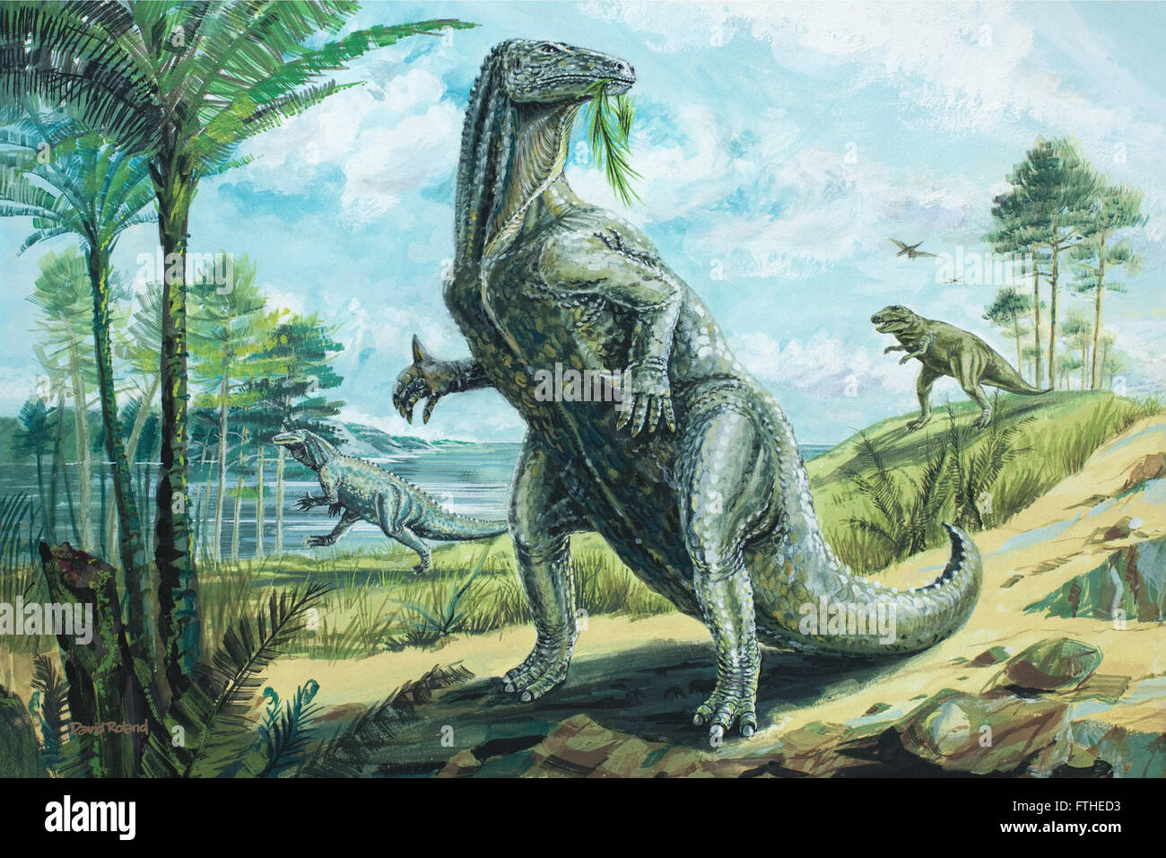 Iguanodon Stock Photo