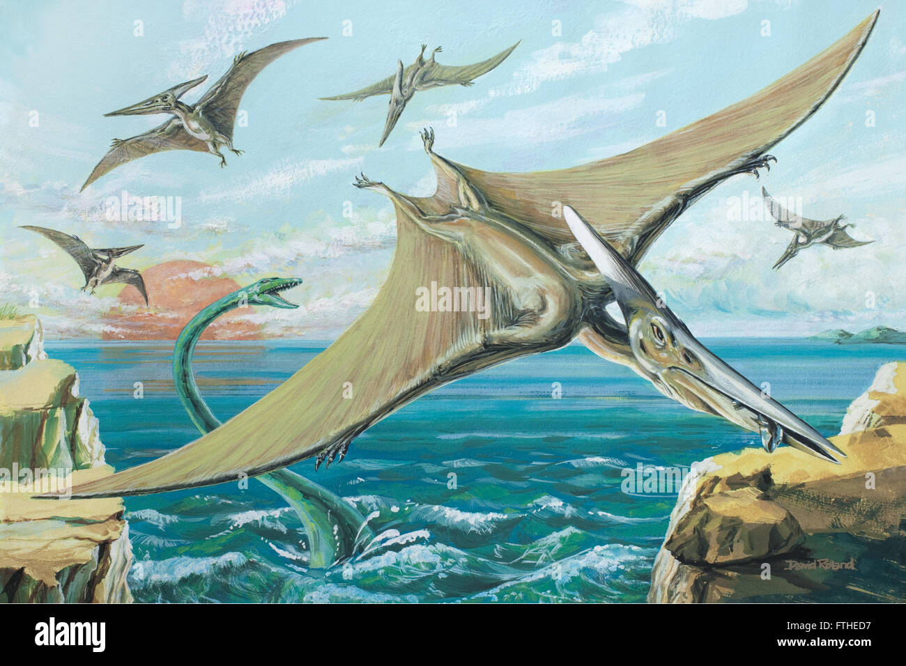 Premium Vector  Pteranodon flying dinosaur illustration flying pterodactyl  prehistoric dangerous creature of jurassic period pterodactylus prehistoric  dinosaur