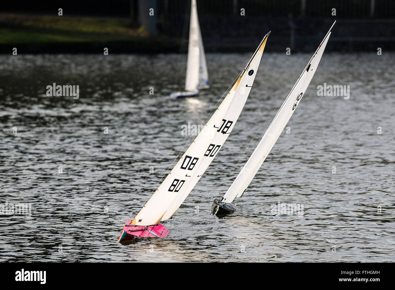 Model yachts racing on Trenance Lake in Newquay, Cornwall. Stock Photo