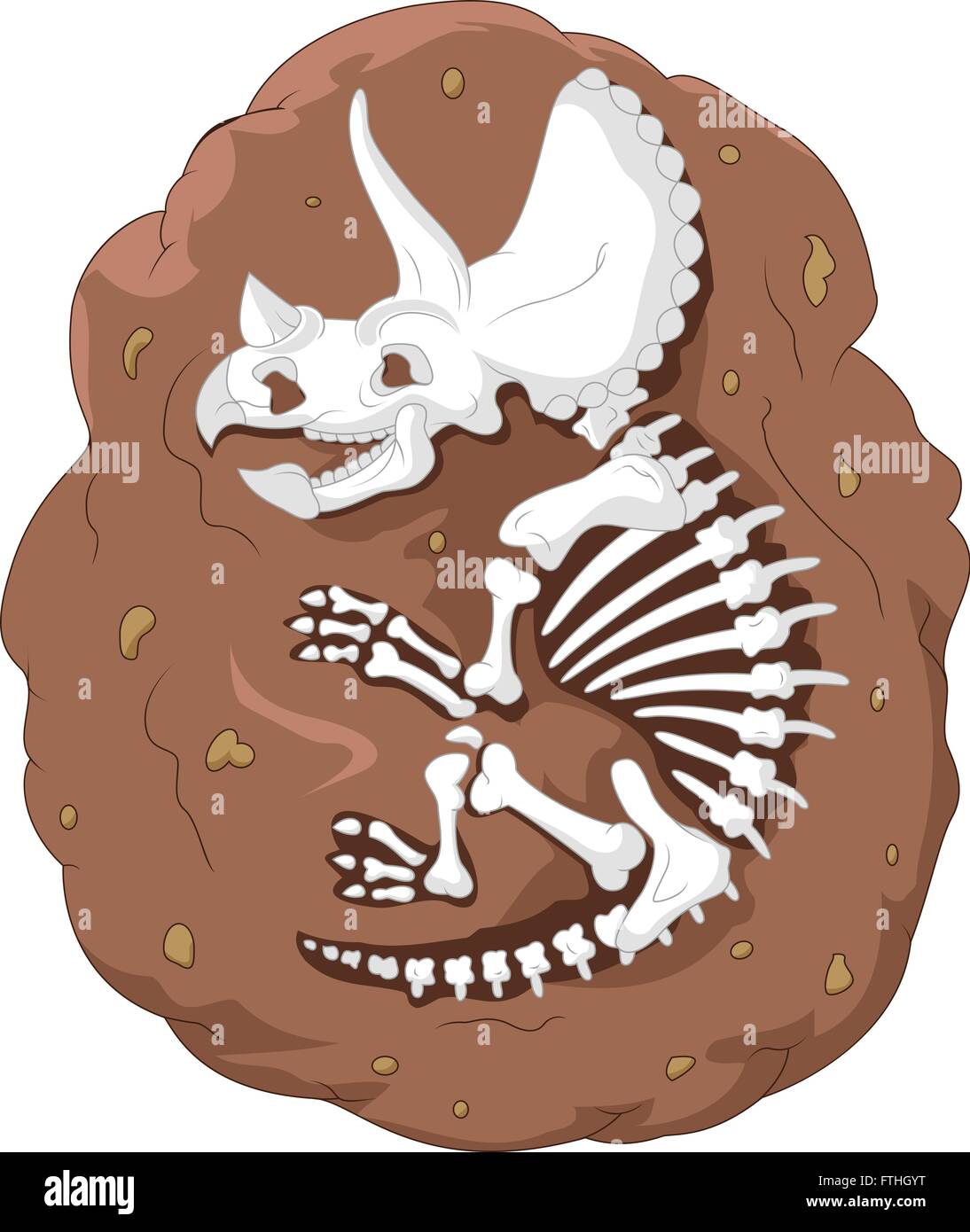 Herbivore Teeth And Fossil High Resolution Stock Photography and Images