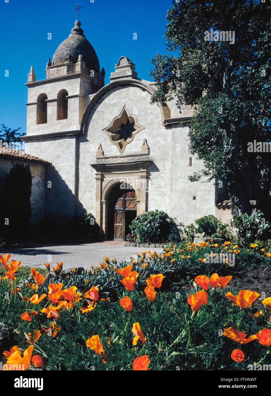 The Basilica Church of Mission San Carlos Borromeo de Carmelo was founded in 1771 by Father Junipero Serra in what is now Carmel, California, USA. The fabled Spanish priest who was a Franciscan friar became a Catholic saint when canonized by Pope Francis in September, 2015. The Carmel mission was the second of 21 California missions established up and down the state; it was one of nine founded by Saint Serra. He died there in1784 at the age of 70 and is buried under the sanctuary floor. Stock Photo