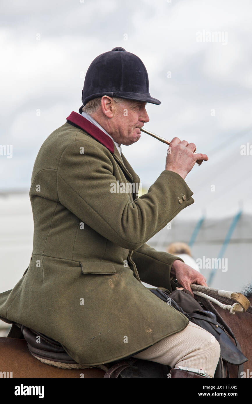 The Master of the Hunt blows the horn to round up the hounds. Stock Photo