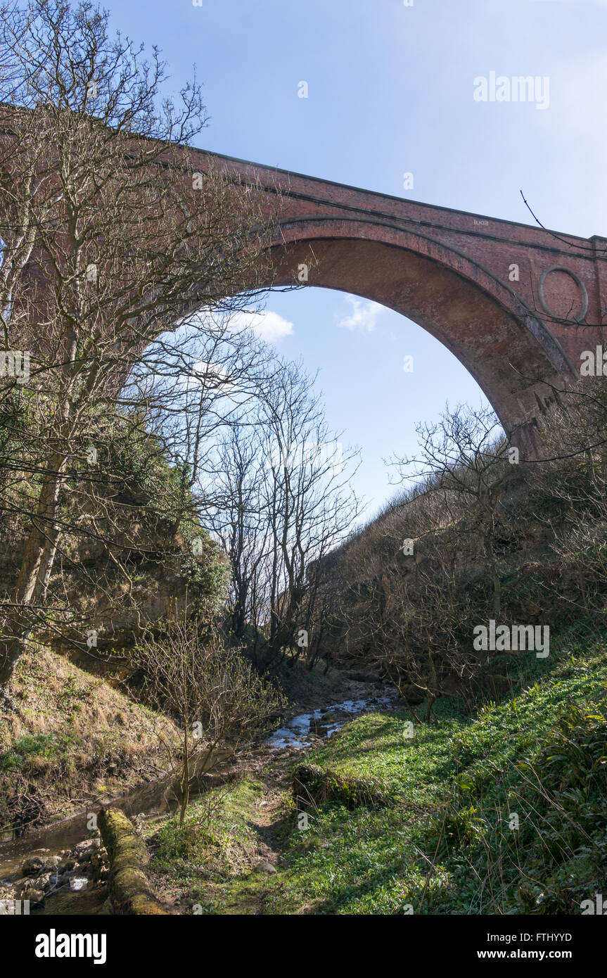 Hawthorn Dene and railway viaduct near Seaham, on the England Coast