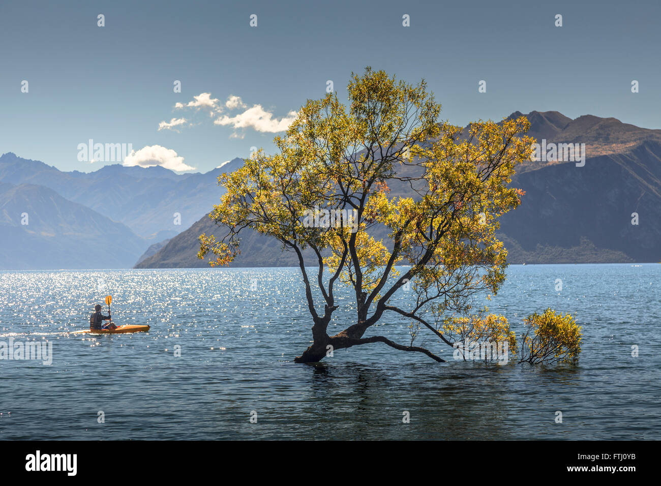 Kayak next to most famous photographed tree,Lake Wanaka,Central Otago,South Island,New Zealand Stock Photo