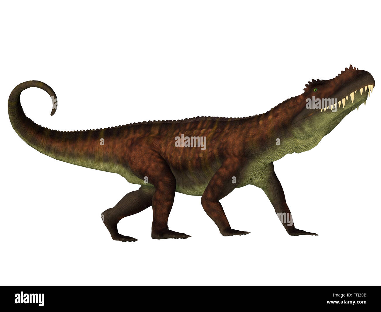 Prestosuchus was a carnivorous archosaur dinosaur that lived in the Triassic Period of Brazil. Stock Photo