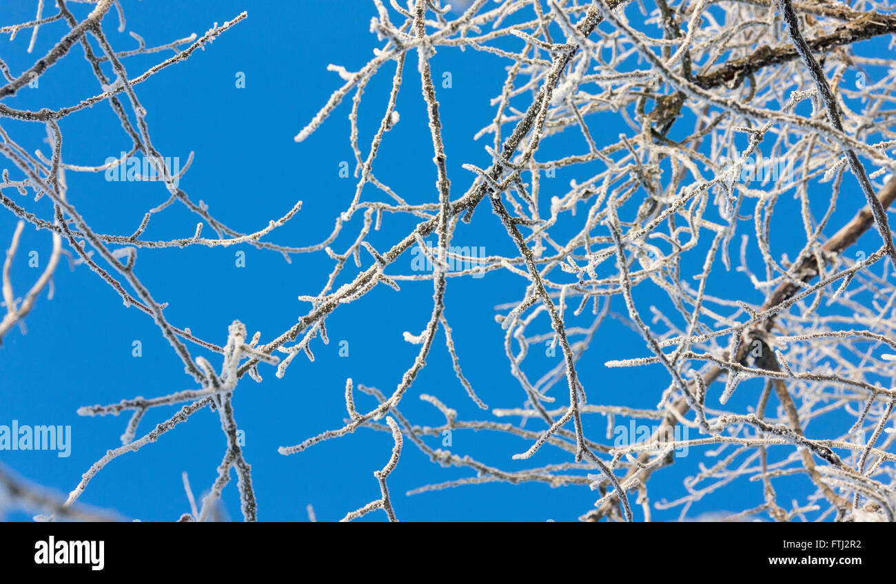 Alaska nature snow hi-res stock photography and images - Alamy