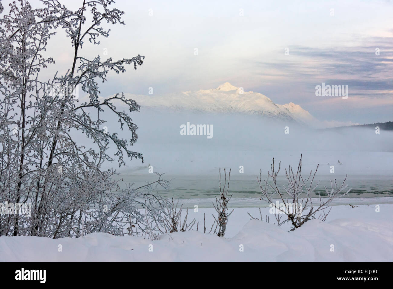 Mountain and forest covered with snow, Haines, Alaska, USA Stock Photo Alamy