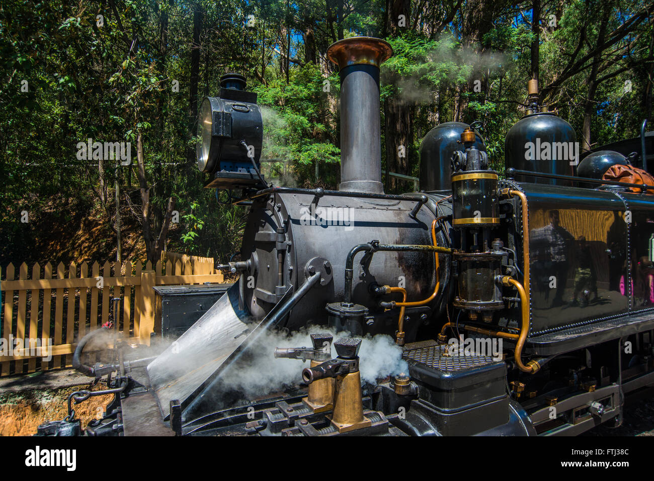 Puffing Billy steam train Stock Photo