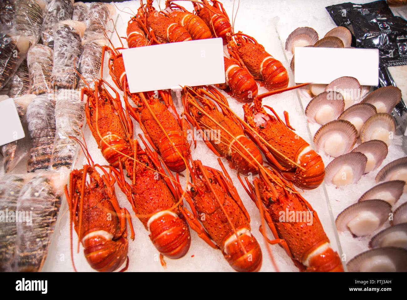 Australian lobster Stock Photo Alamy