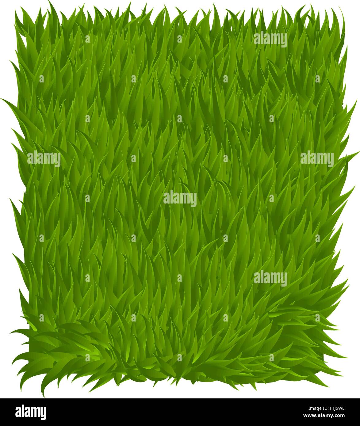 Green grass texture rectangle isolated on white. Vector illustration Stock Vector