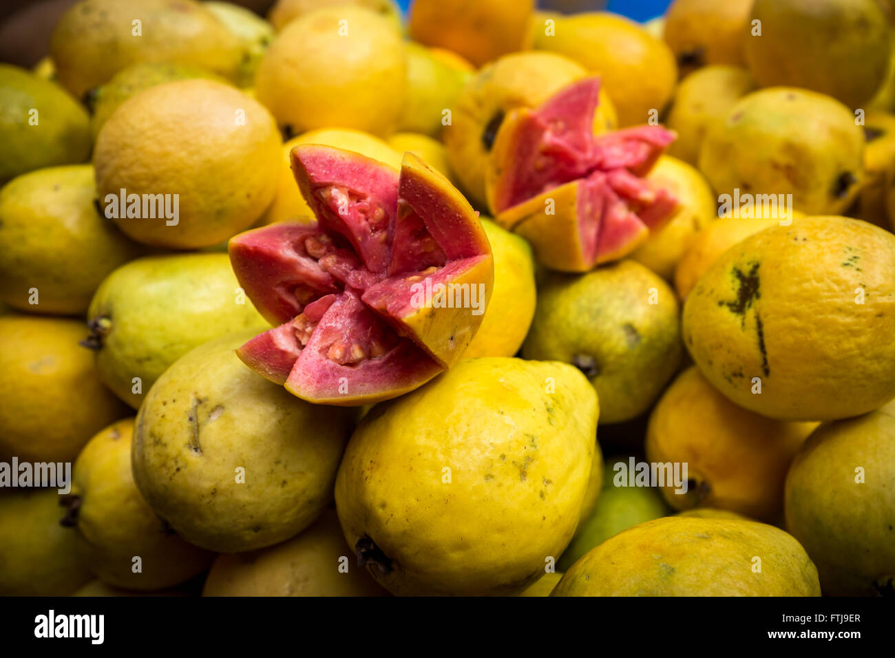 Guayabas (fruit) in Mexico Stock Photo