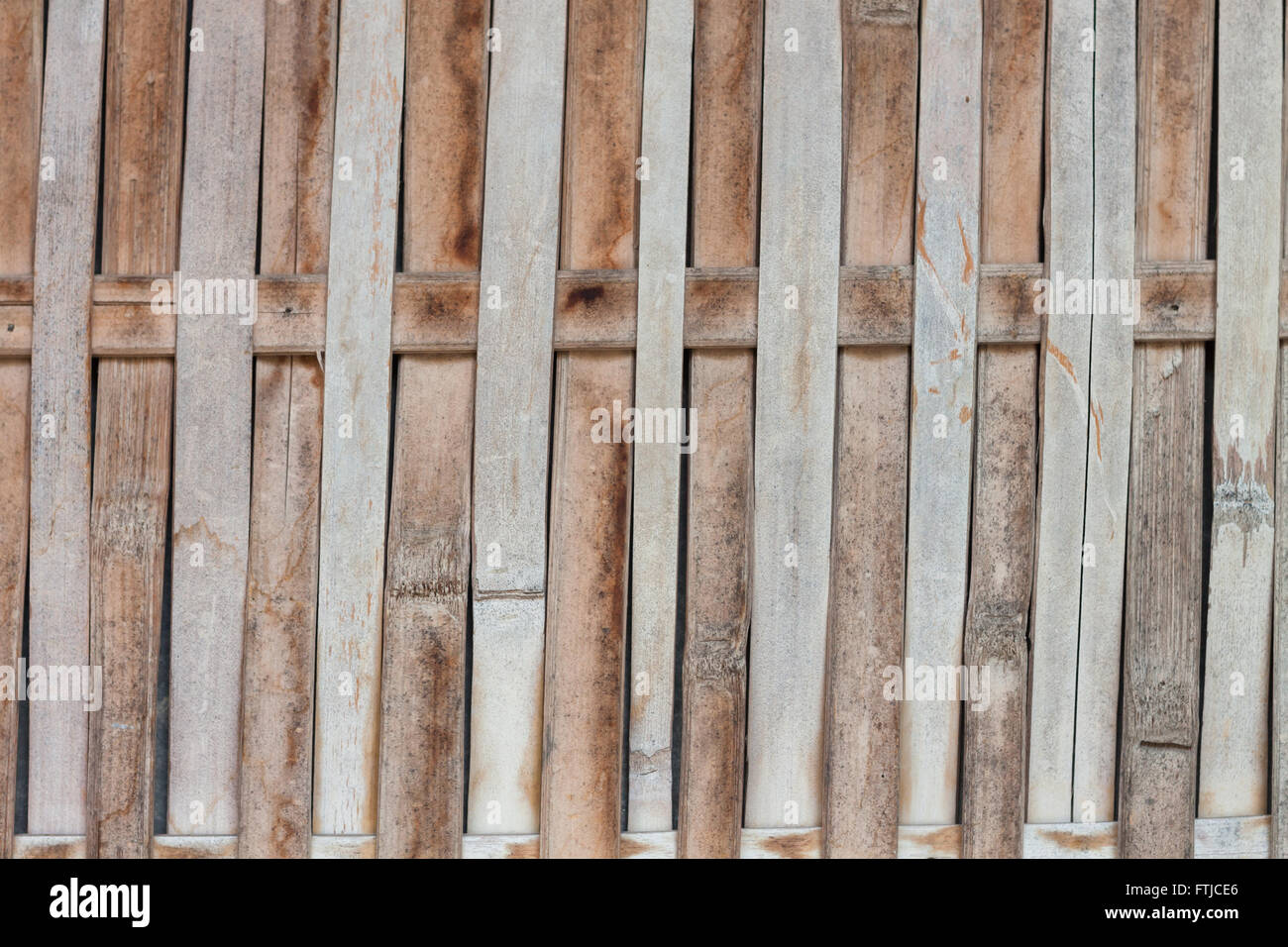 Close up bamboo fence background, stock photo Stock Photo