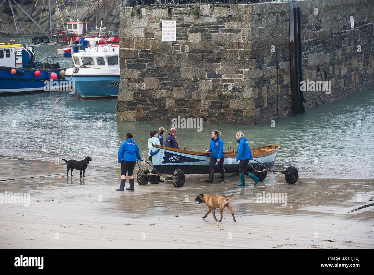 Hope, a traditional Cornish racing gig is prepared for launching in Newquay Harbour by its all female crew. Stock Photo